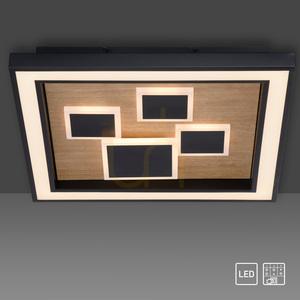 Paul Neuhaus ELIZA 6283-79 LED mennyezeti lámpa fekete, olajozott tölgyfával, 48 × 48 cm small 10