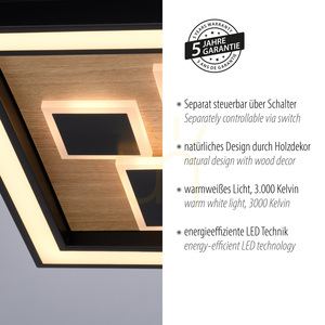 Paul Neuhaus ELIZA 6283-79 LED mennyezeti lámpa fekete, olajozott tölgyfával, 48 × 48 cm small 4