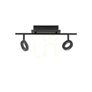 Paul Neuhaus SILEDA 6781-13 mennyezeti spotlámpa antracit 2xLED small 13