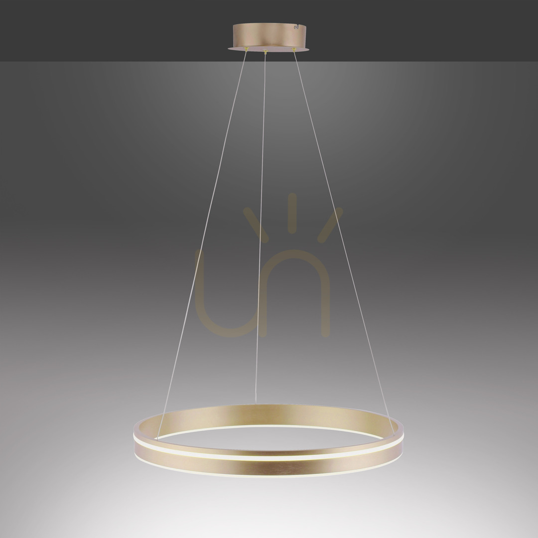 Előadás Paul Neuhaus Q-VITO 8411-60 LED függeszték, matt sárgaréz, Ø 59 cm Paul Neuhaus Q-VITO 8411-60 LED függeszték, matt sárgaréz, Ø 59 cm