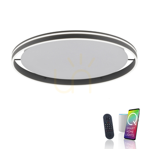 Paul Neuhaus Q-VITO 8418-13 antracit LED mennyezeti lámpa Ø 79,4 cm small 1