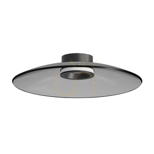 30 W-os LED mennyezeti lámpa, 2700 K–3000 K, triac, matt fekete – füstölt üveg, ZAMBELIS small 1
