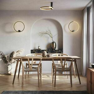 Plafonlámpa s.luce Ring Air LED 40 cm ezüst, kerek, dimmelhető 5 Plafonlámpa s.luce Ring Air LED 40 cm ezüst, kerek, dimmelhető small 5