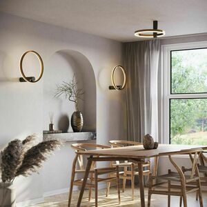 Plafonlámpa s.luce Ring Air LED 40 cm ezüst, kerek, dimmelhető 9 Plafonlámpa s.luce Ring Air LED 40 cm ezüst, kerek, dimmelhető small 9