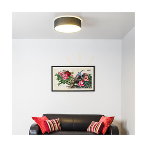 Spot Light Josefina 4782802 LED mennyezeti lámpa, antracit/fehér, Ø28 cm, 13 W, 2700 K small 1
