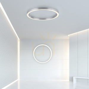 PURE-LINES 6306-95 mennyezeti lámpa, ezüst, 1xLED small 2