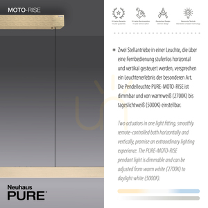PURE-MOTO-RISE 2545-60 Arany 3xLED függesztett lámpa small 4