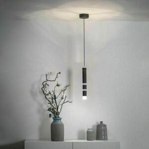 Paul Neuhaus PURE-VEGA 2211-18 fekete LED függőlámpa, 3000 K small 16