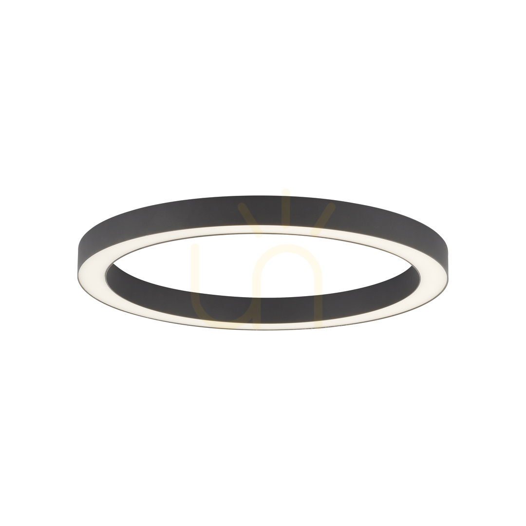 Jelölje be PURE-LINES 6309-13 mennyezeti lámpa, antracit, 1xLED PURE-LINES 6309-13 mennyezeti lámpa, antracit, 1xLED