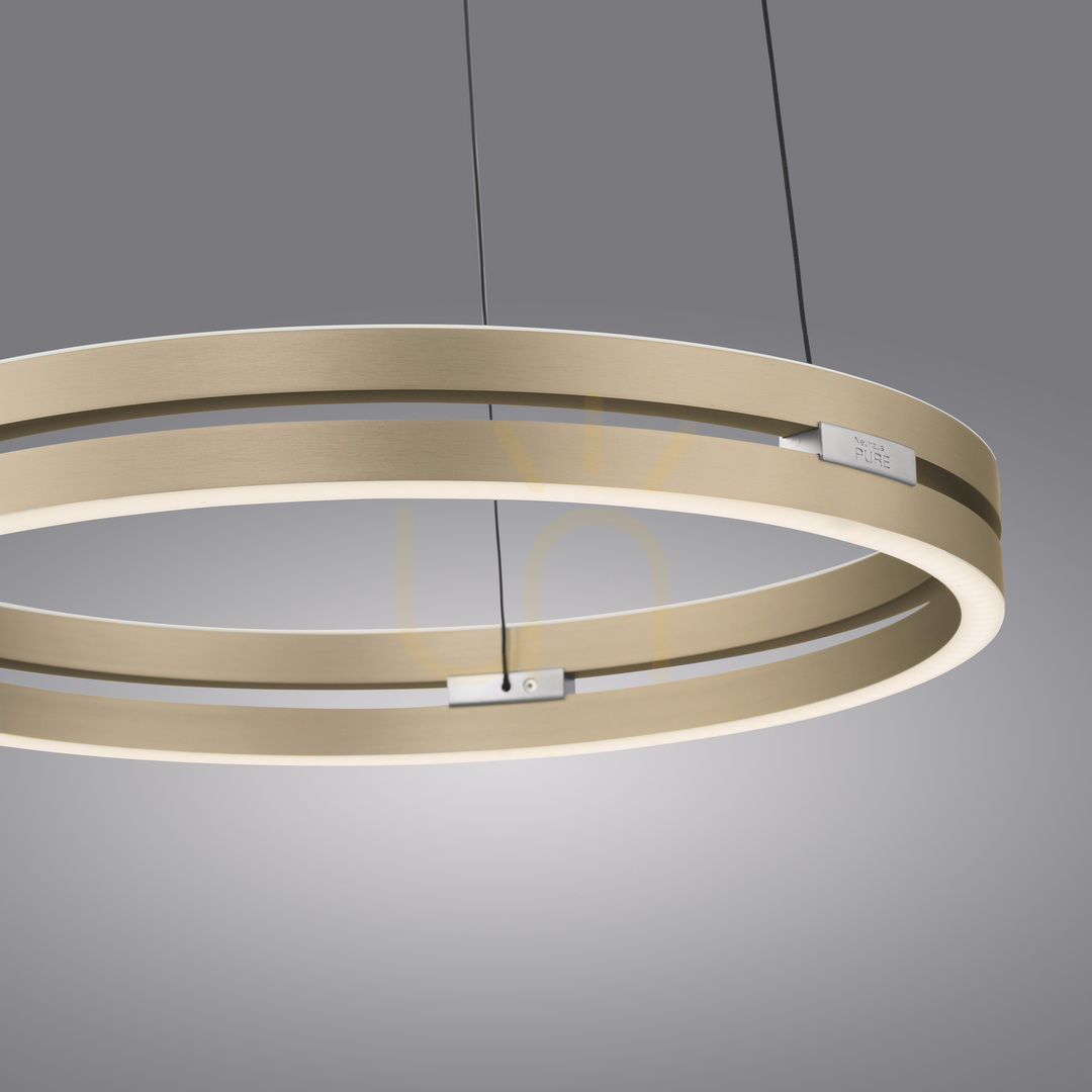 Előnézet PURE E-LOOP 2550-60 sárgaréz 2xLED függesztett lámpa PURE E-LOOP 2550-60 sárgaréz 2xLED függesztett lámpa