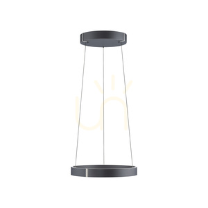 PURE E-CLIPSE 2560-15 szürke, 2xLED-es függesztett lámpa 9 PURE E-CLIPSE 2560-15 szürke, 2xLED-es függesztett lámpa small 9