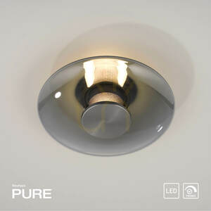 Paul Neuhaus PURE VITRUM 6082-15 LED fali és mennyezeti lámpa, szürke, füstüveg, 22 cm small 11
