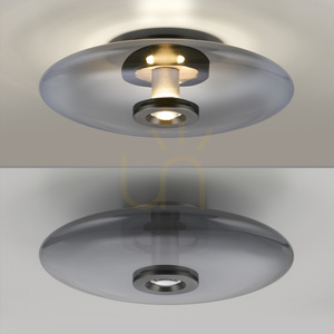 PURE VITRUM 6083-15 mennyezeti lámpa, szürke, 2xLED small 17