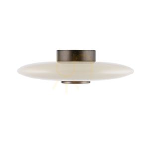 PURE VITRUM 6083-34 barna mennyezeti lámpa, 2xLED small 14