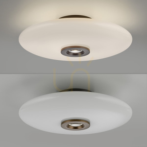 PURE VITRUM 6083-34 barna mennyezeti lámpa, 2xLED small 16