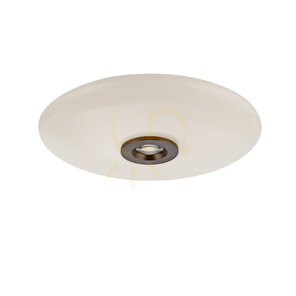 PURE VITRUM 6083-34 barna mennyezeti lámpa, 2xLED small 23
