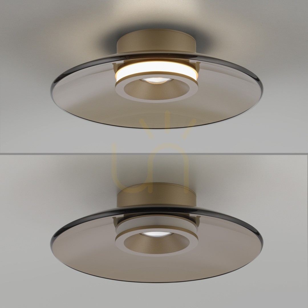 Előnézet PURE MOON 6094-97 barna mennyezeti lámpa, 2xLED PURE MOON 6094-97 barna mennyezeti lámpa, 2xLED