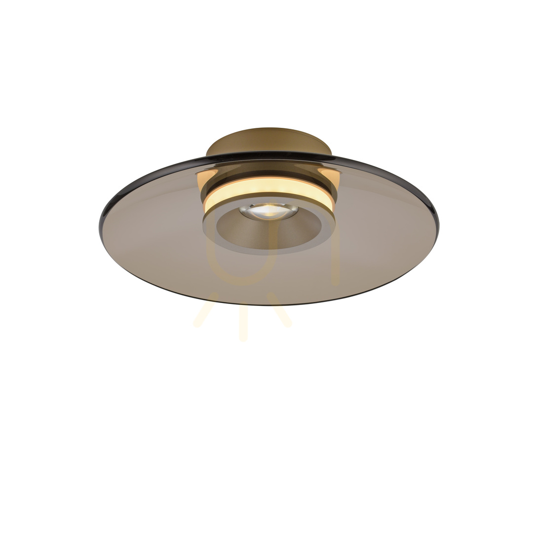 Előnézet PURE MOON 6094-97 barna mennyezeti lámpa, 2xLED PURE MOON 6094-97 barna mennyezeti lámpa, 2xLED