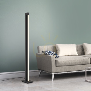 PURE-LINES 421-13 állólámpa, antracit, 1xLED small 10