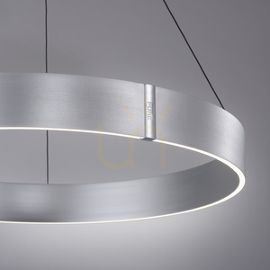 PURE E-CLIPSE 2561-95 ezüst színű, 2xLED-es függesztett lámpa small 10