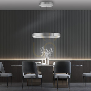 PURE E-CLIPSE 2561-95 ezüst színű, 2xLED-es függesztett lámpa small 2