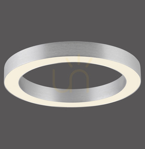 PURE LINES ROUND 6310-95 mennyezeti lámpa, ezüst, 1xLED small 0