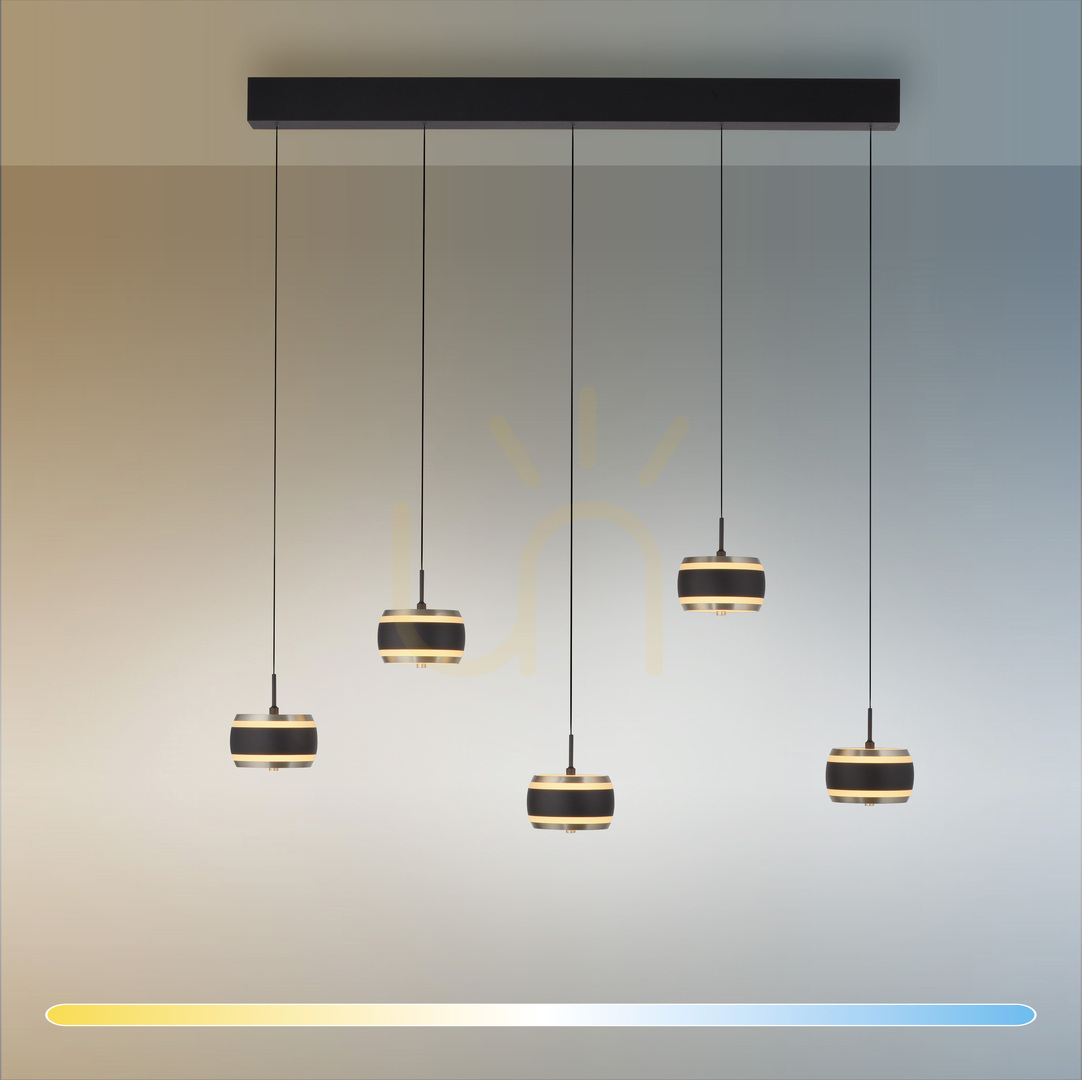 Előnézet PURE FALLING RINGS 2504-18 Fekete 5xLED-es függesztett lámpa PURE FALLING RINGS 2504-18 Fekete 5xLED-es függesztett lámpa